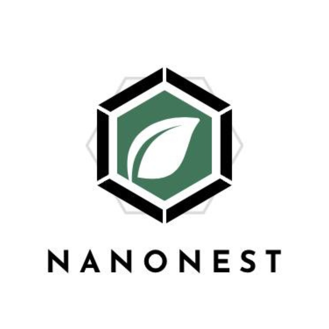 NanoNest