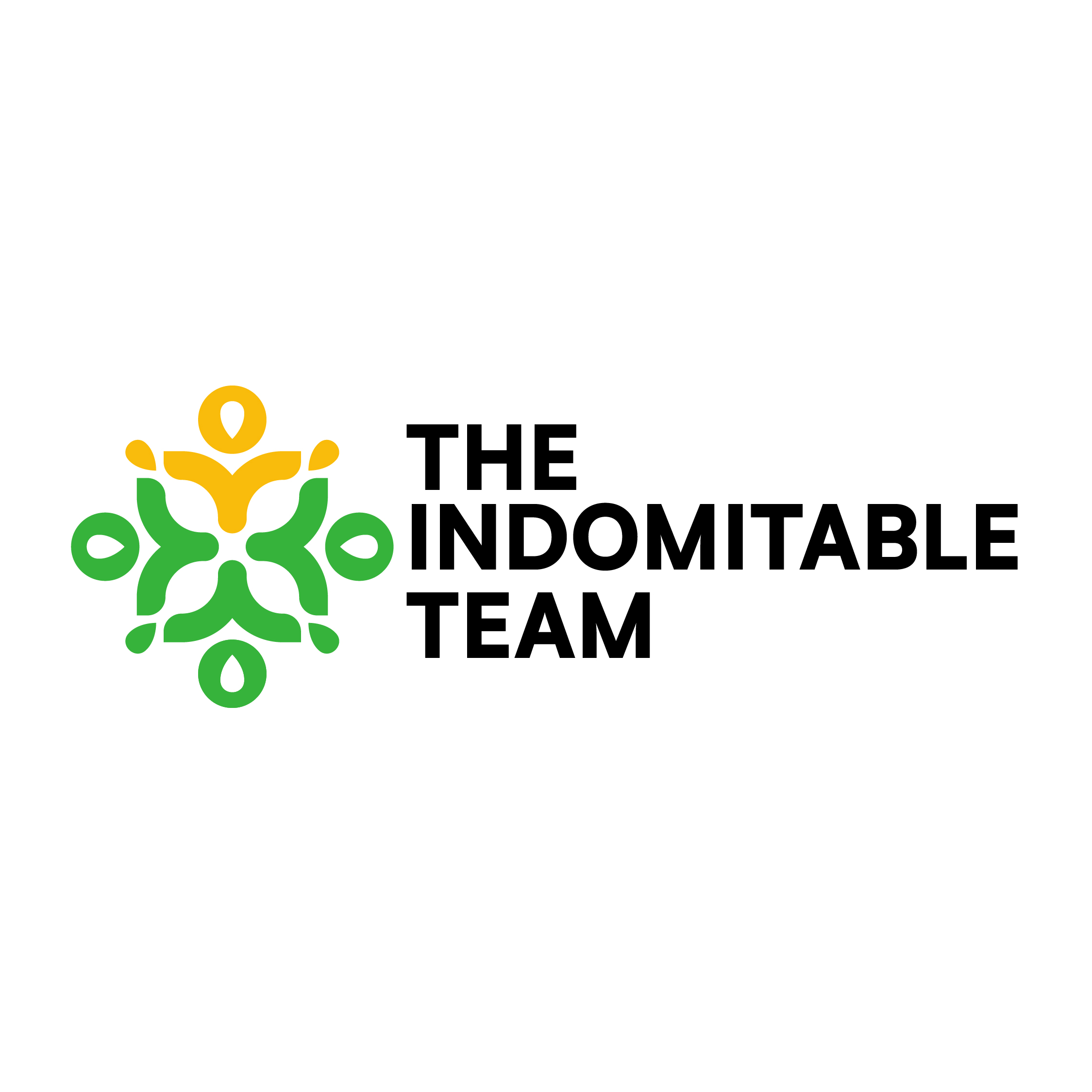 INDOMITABLES