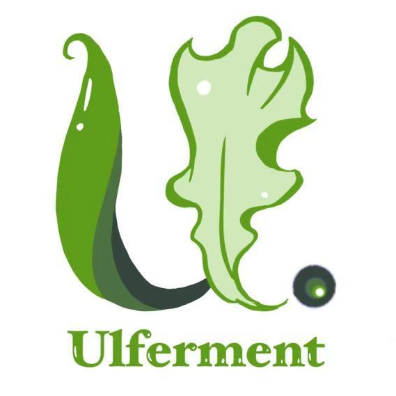 Ulferment